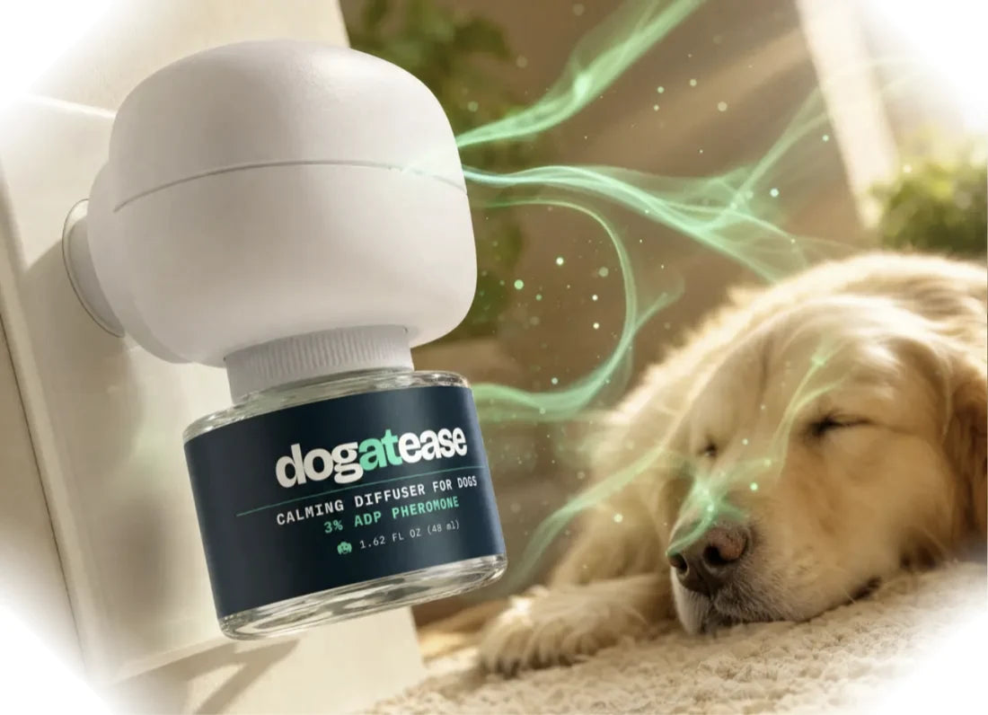 DogAtEase dog calming diffuser plugged into a wall outlet while a golden retriever sleeps peacefully nearby